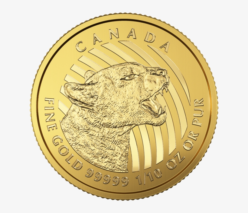 Gold, transparent png download