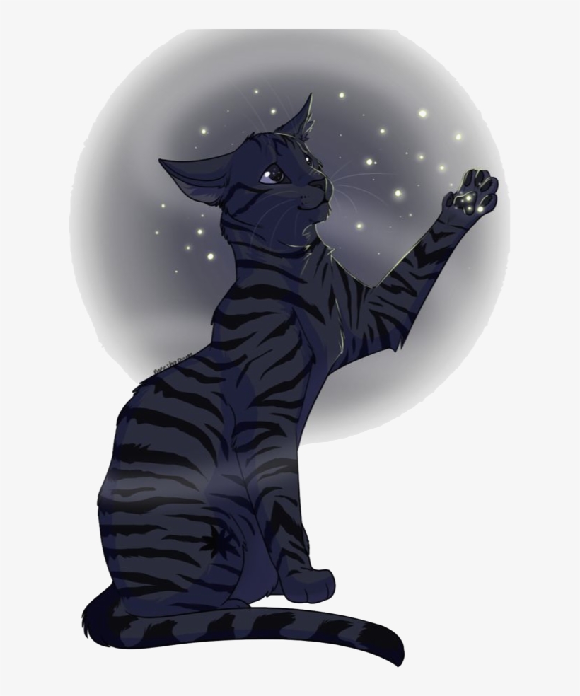 Art Competitions Cat Drawing, transparent png download