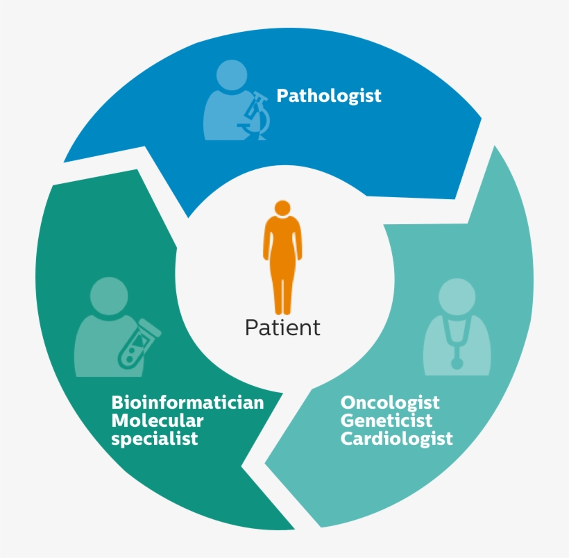 Westchester Medical Launches Precision Medicine Initiative - Products In Company Profile, transparent png download