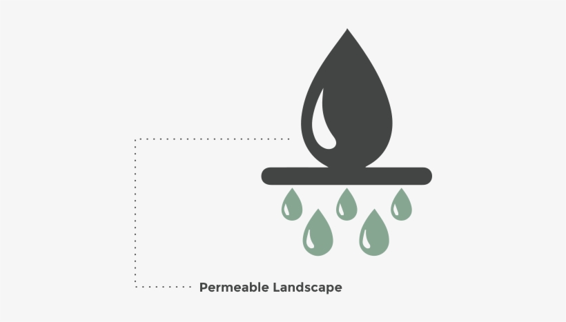 10 Am 20993 Plants 5/15/2017 - Graphic Design, transparent png download