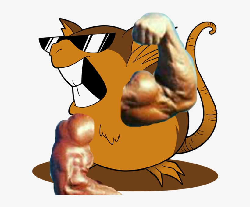 Ga The Raticate - Cartoon, transparent png download
