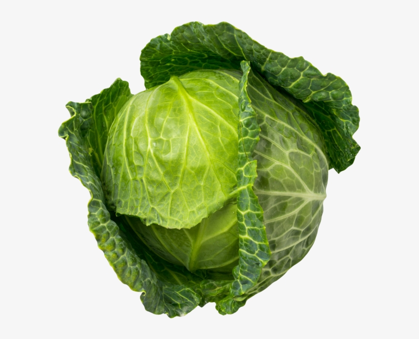 Cabbage - Vegetable, transparent png download