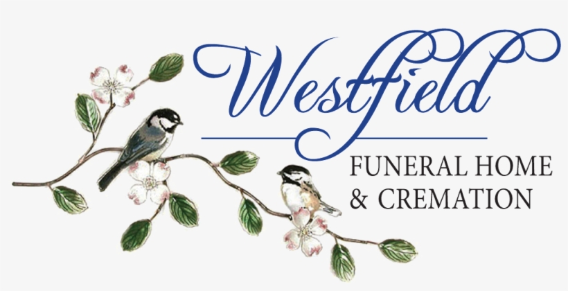 Site Image, transparent png download