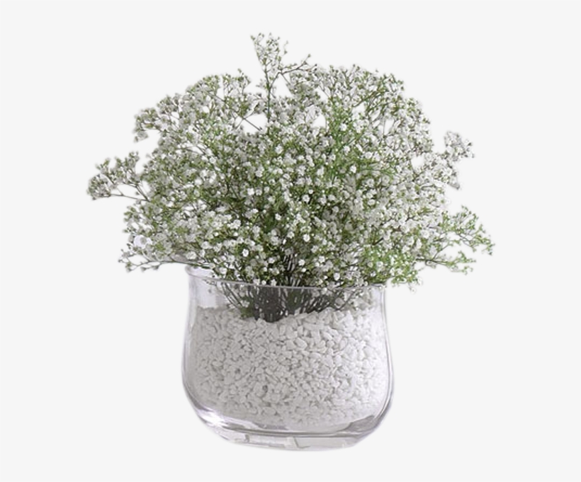 Baby's Breath Vase Arrangement - Baby's Breath Centerpiece, transparent png download