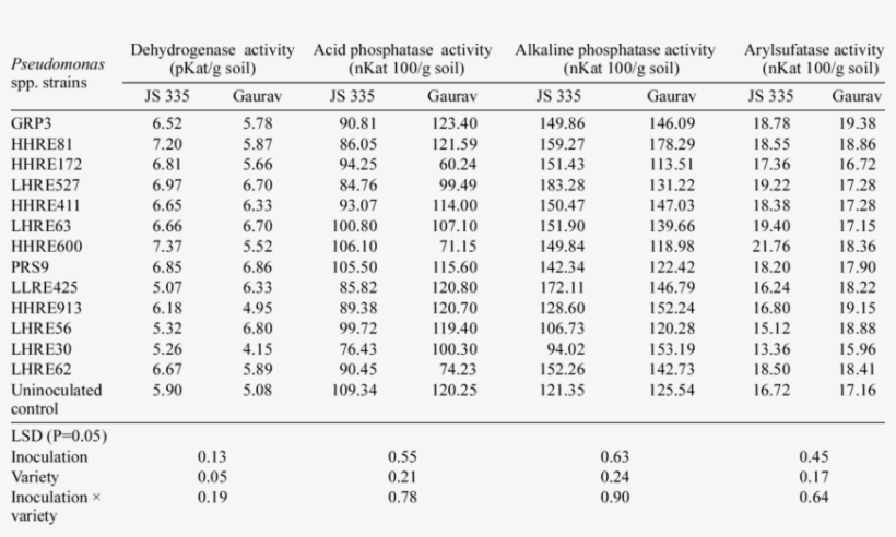 Activity Of Various Enzymes In Rhizosphere Soil Of, transparent png download