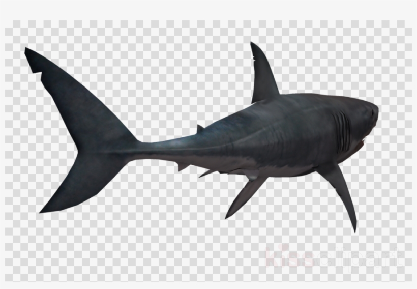 Shark Png Transparent Clipart Great White Shark Clip - Overwatch Reaper Artwork, transparent png download