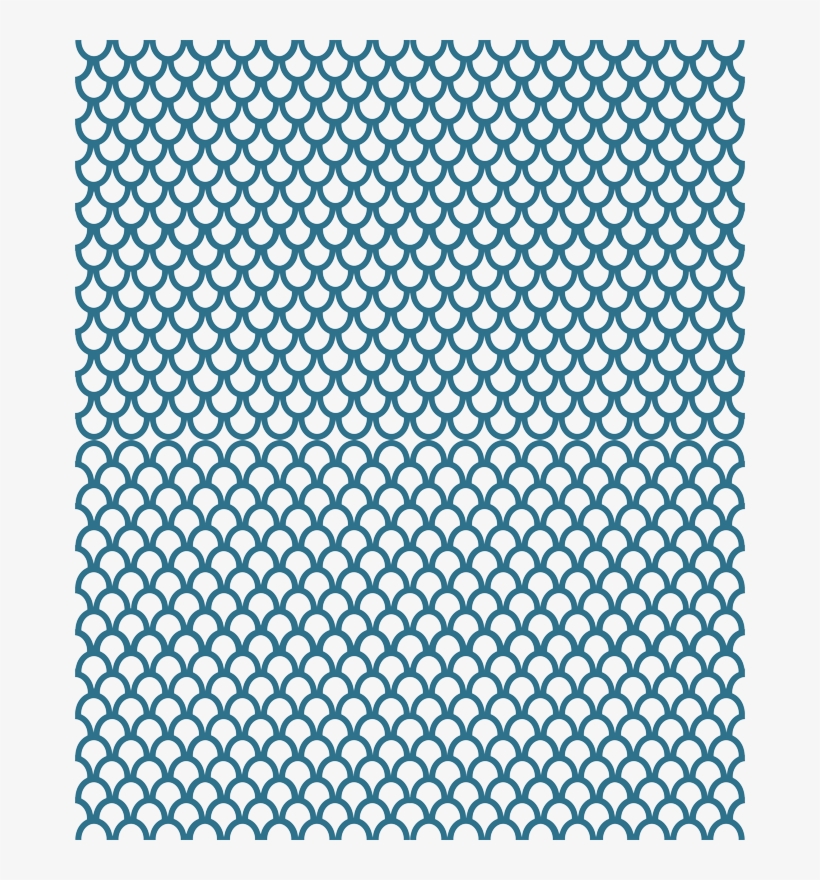 Sea Scallops Wallpaper Sshaw - Piazza Del Popolo, transparent png download