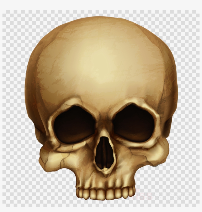 Halloween Skull Png Clipart Skull Clip Art - Hoffman Lake Mesh Cap, transparent png download