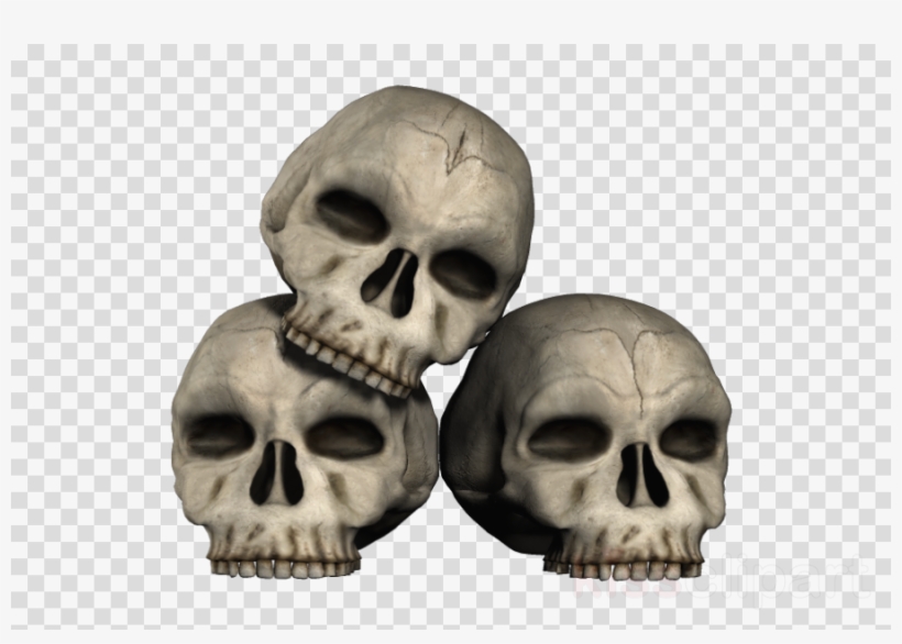 Imagen Png De Craneos, transparent png download