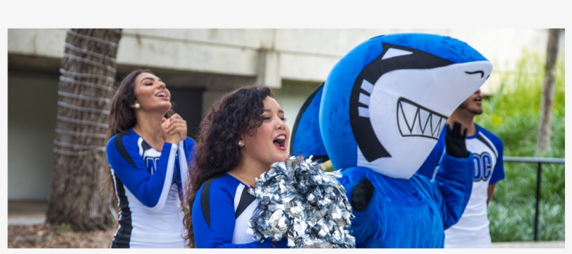 Mdc Cheerleaders Along Finn Cheering - Cheerleading, transparent png download