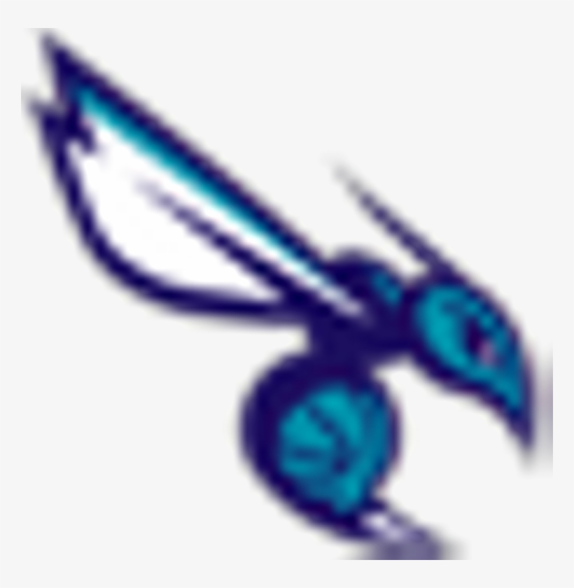 Charlotte Hornets - Hornets Nba, transparent png download
