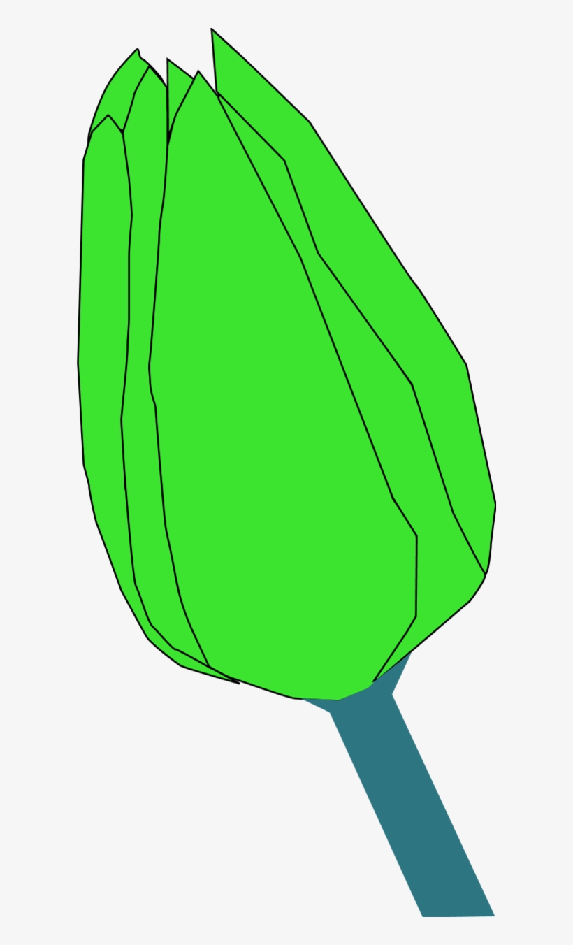 Calla Lily Clipart, transparent png download