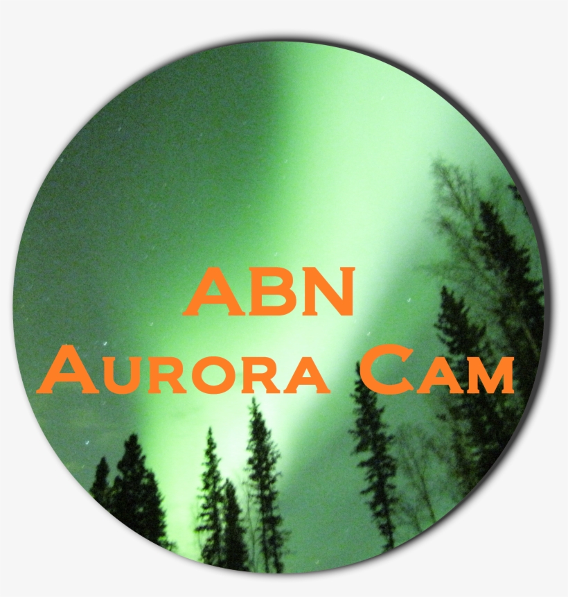 Abn Cam Logo Transparent With Black Shadow - Shortleaf Black Spruce, transparent png download