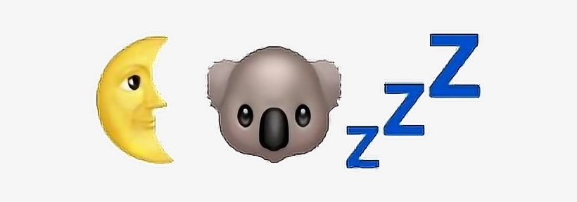 Report Abuse - Koala, transparent png download