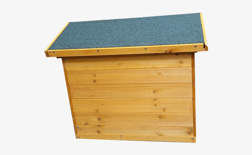 Zoom - Dog, transparent png download