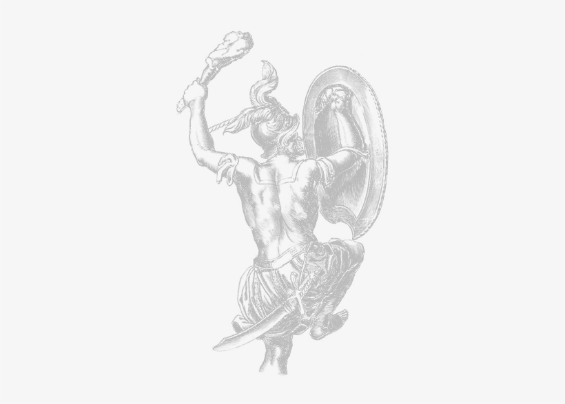Pavo - Illustration, transparent png download