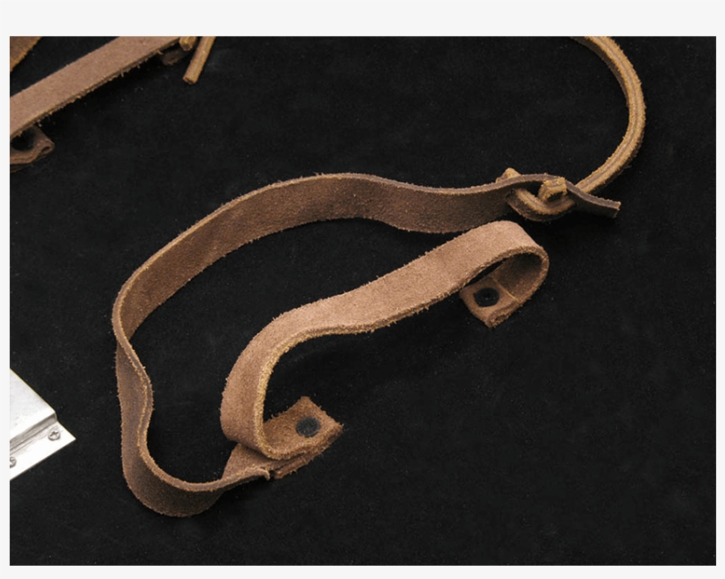 Game Of Thrones - Lannister Shield Replica 1/1, transparent png download