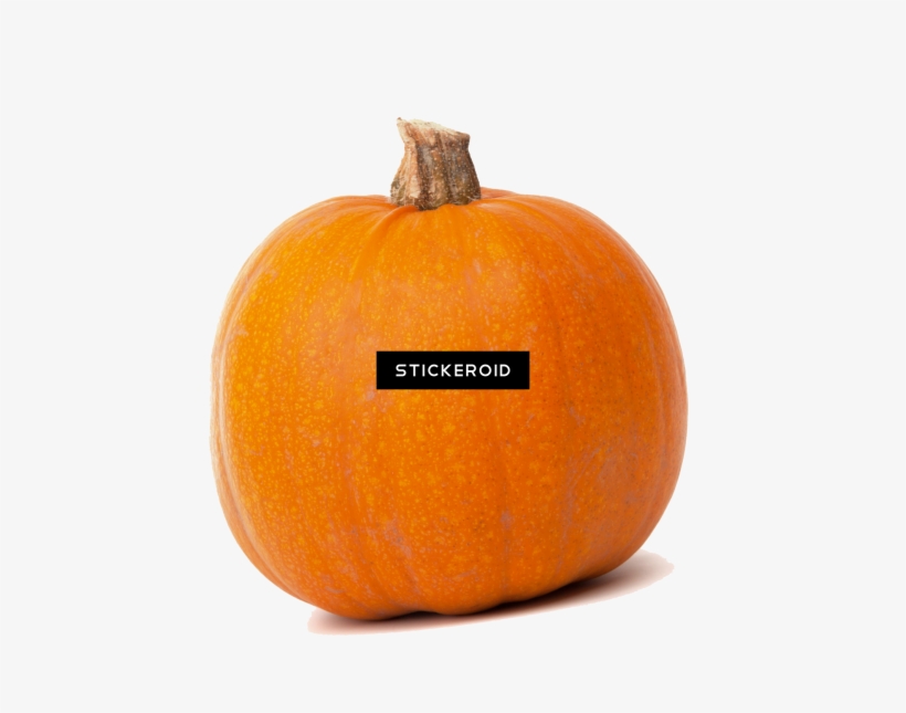 Тыква Pumpkin - Pumpkin, transparent png download