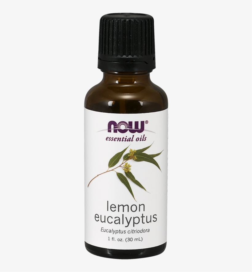 Lemon Eucalyptus Oil - Now Essential Oils, transparent png download