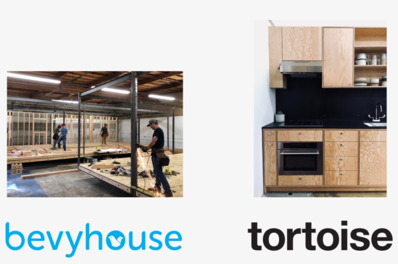 Tortoise Bevyhouse - Tortoise, transparent png download