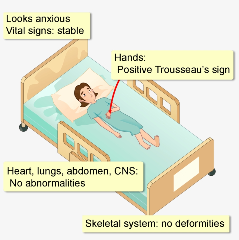 A Complete Blood Count, Liver Profile , Renal Profile, - Flyer, transparent png download