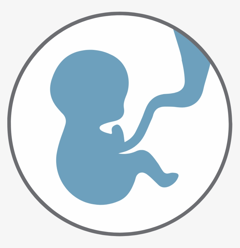 Donor And The Recipient Are Only Partially Matched, - Implant, transparent png download