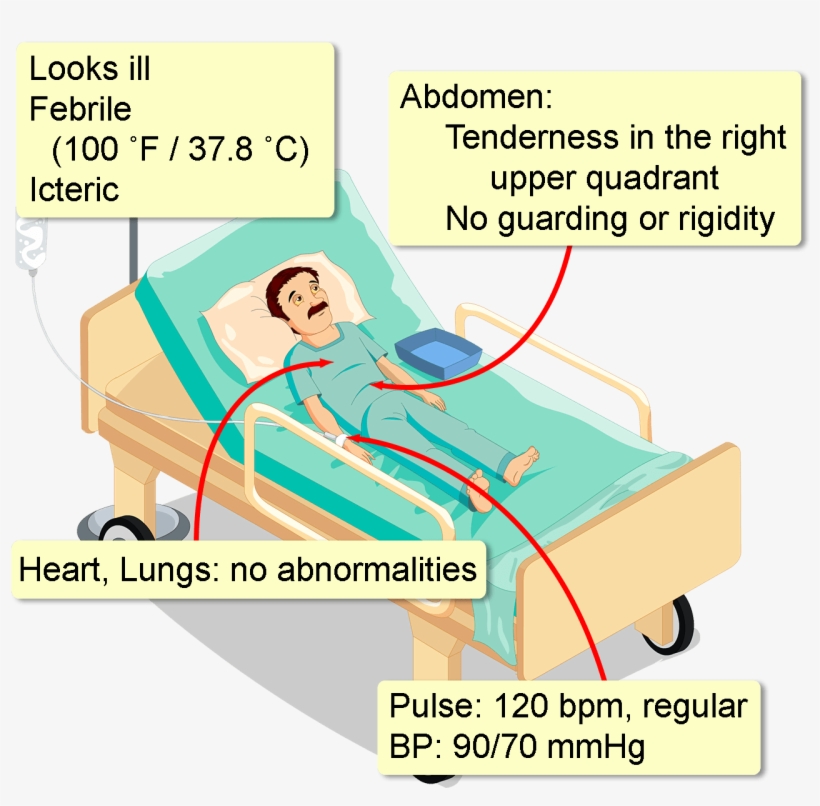 His Full Blood Count Shows A Leukocyte Count Of 14,500/mm3, - Cartoon, transparent png download