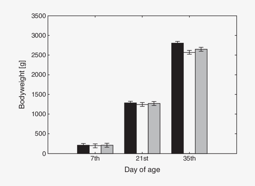 Effect Of Prebiotic In Ovo Injections On Bodyweight - Chicken, transparent png download