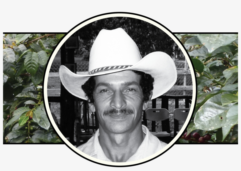 I First Had This Coffee In The Honduras Cup Of Excellence, - Cowboy Hat, transparent png download