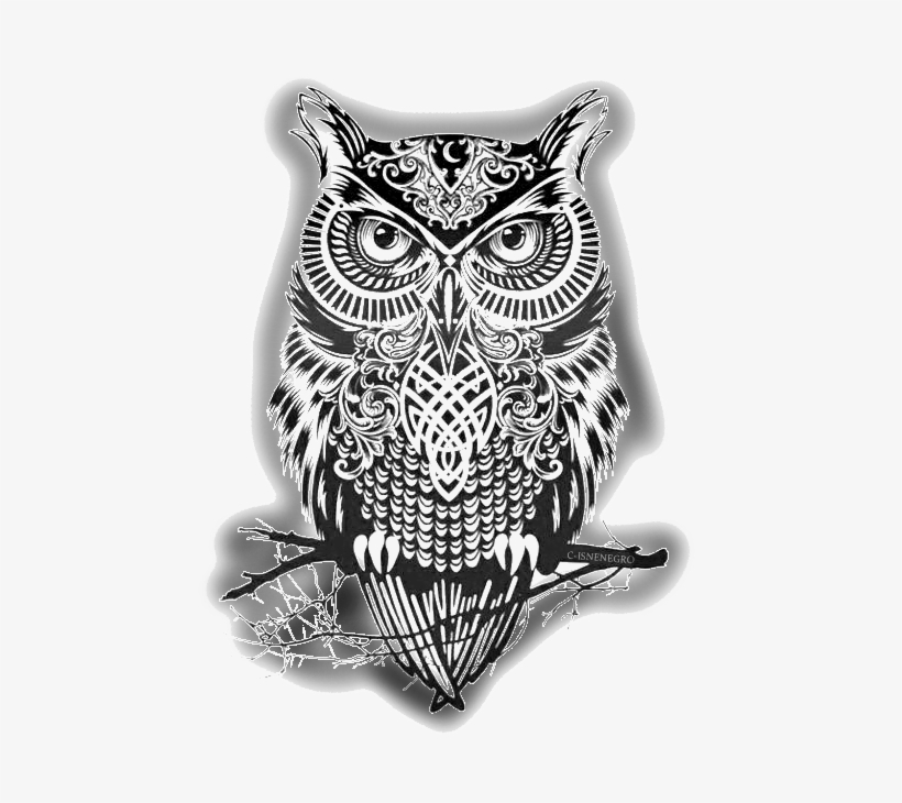 Dragsig Owl - Society6 Warrior Owl 2 Couch Throw Pillow - Small (17", transparent png download