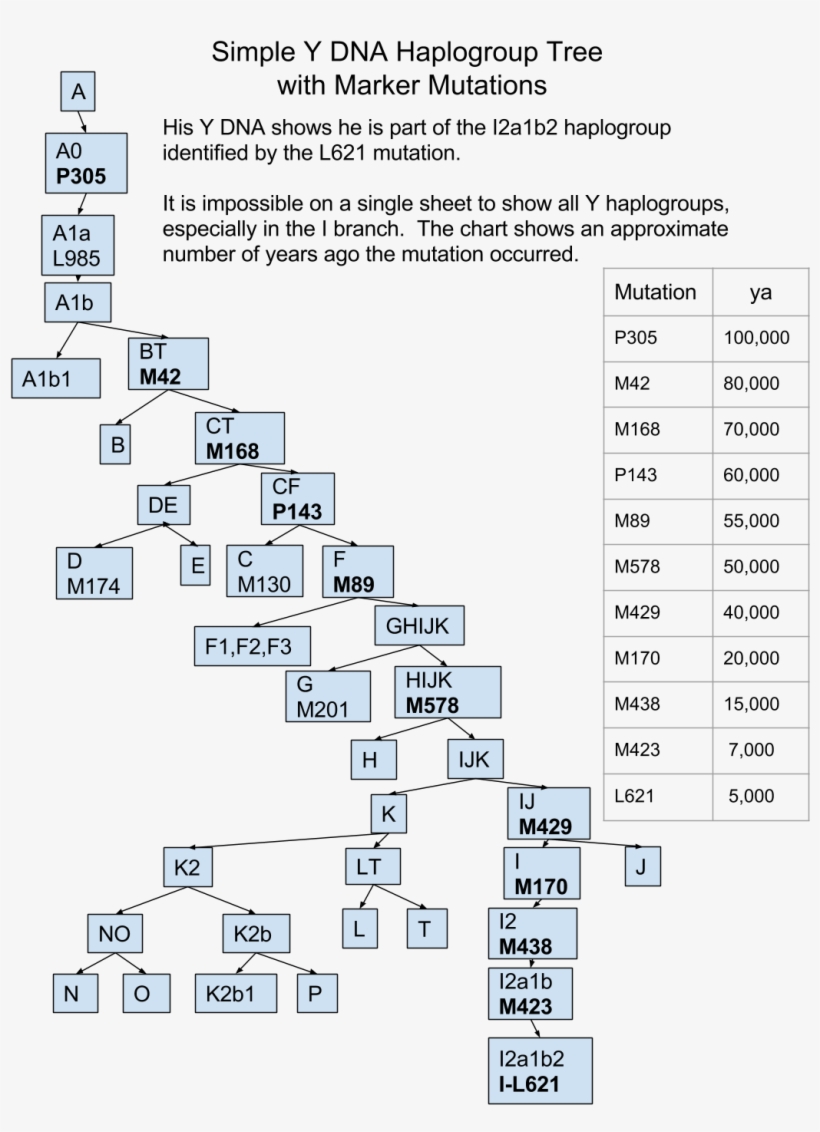 John Y Tree - Number, transparent png download