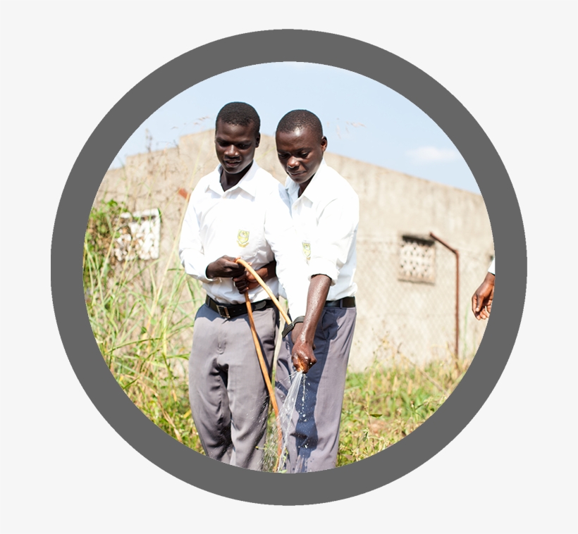 Circle Forever - Education, transparent png download