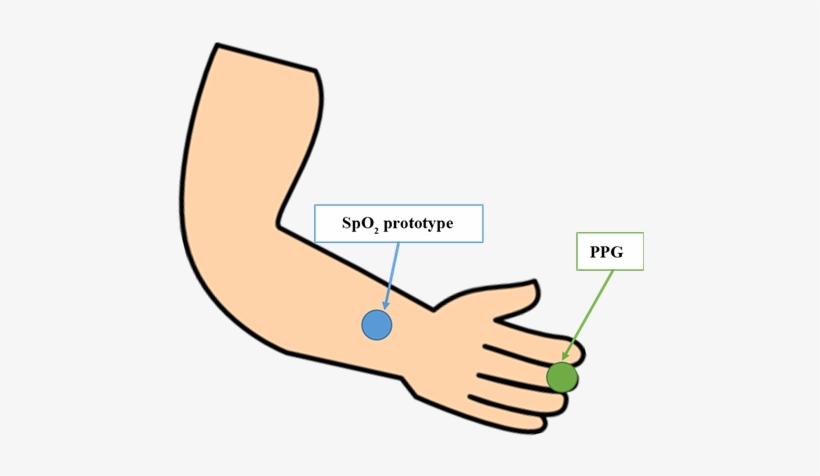 Testing Setup For The Correctness Of The Spo2 Prototype - Thumb, transparent png download