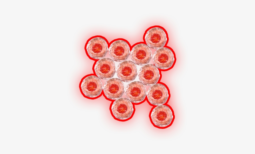 Celular Phenotyping - Mobile Phone, transparent png download