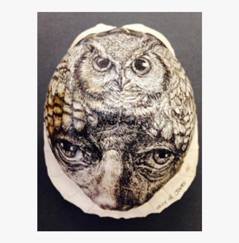 Screech Owl, transparent png download