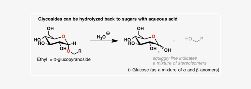 A Particularly Important Type Of Glycoside Are Those - Sinigrin, transparent png download