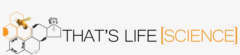 Thats Life Science An Interdisciplinary Life Science - Parallel, transparent png download