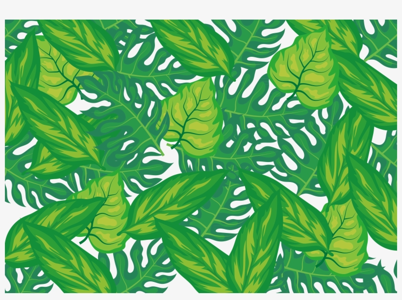 Leaf Herbalism Wall Decal Pattern, transparent png download