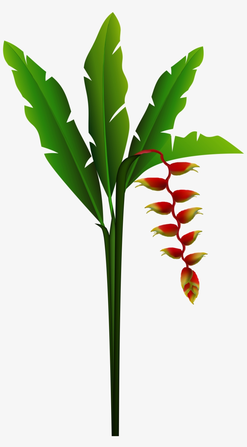 Clip Art, transparent png download