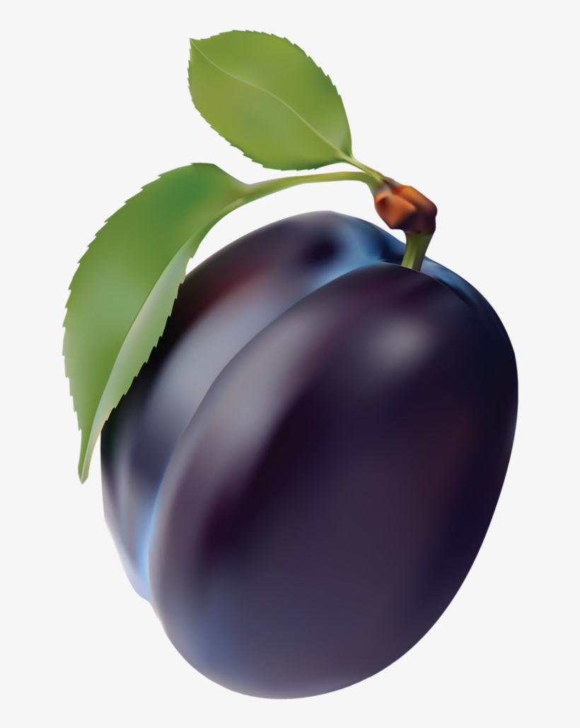 Plum - Plum Graphics, transparent png download
