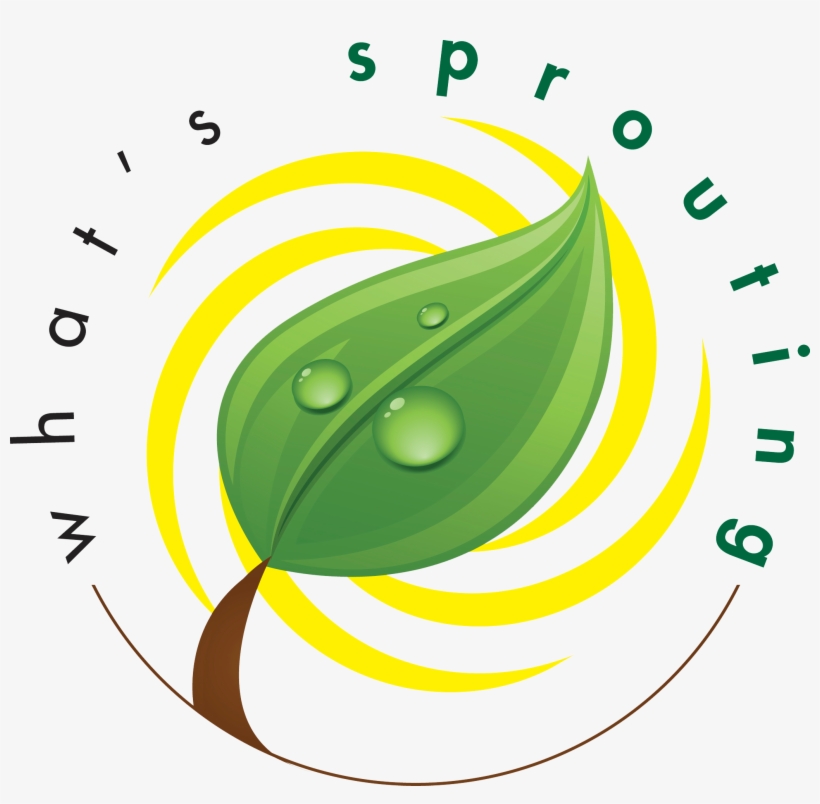 New Green Building Rating Systems Striving For Market - Circle, transparent png download