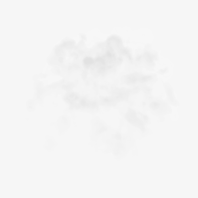 Weber Bbq Sells The Best Range Of Barbecues In Australia - Grill Smoke Png, transparent png download