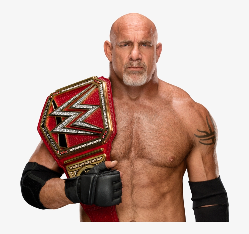 Goldberg Universal Championship Render Wwe Super Stars 17 Transparent Png 1000x707 Free Download On Nicepng