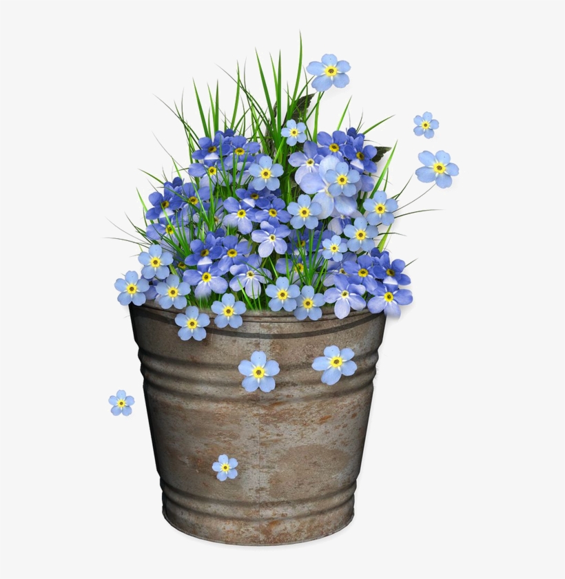 Forget Me Not Logo Png, transparent png download