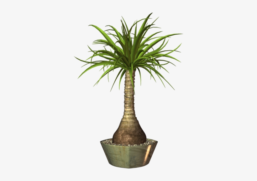 Pot Plants, Elements Of Art, Flower Art, Decoupage, - Png Image Plants Pot, transparent png download