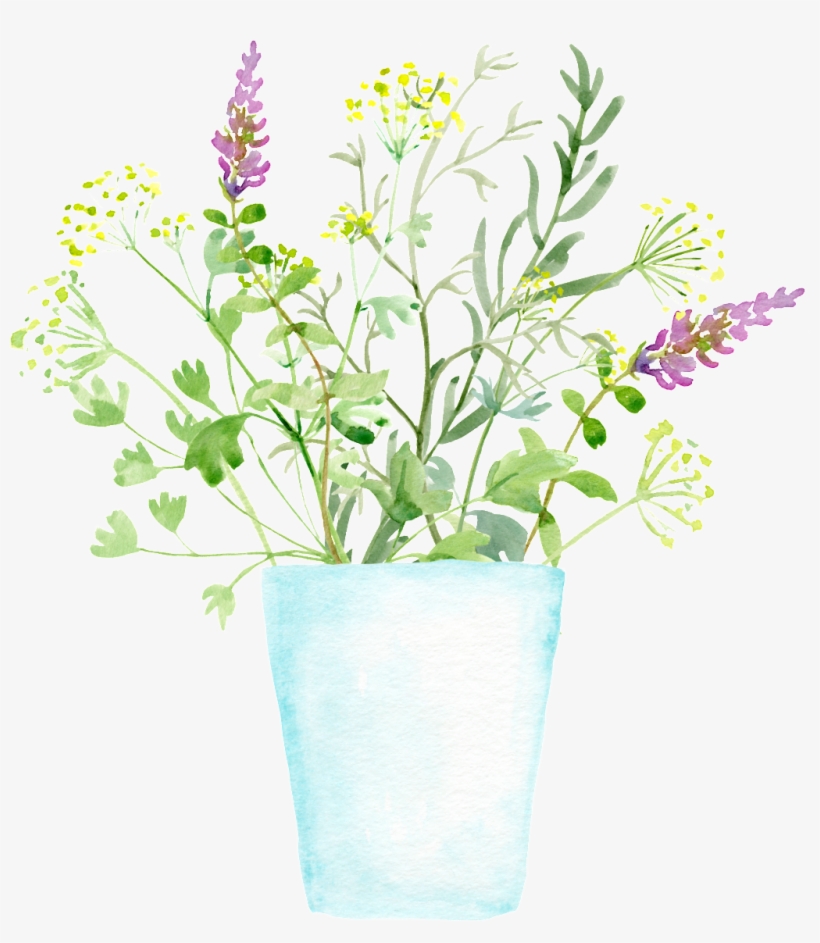 Flowerpot Planting Plant Cartoon Transparent - Wall, transparent png download