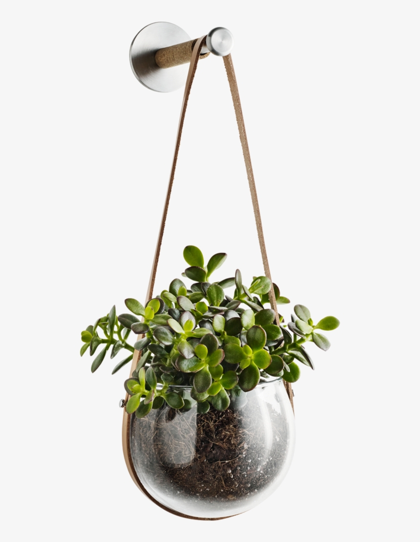Best Florist In Fort Lauderdale - Holmegaard - Design With Light Hanging Pot, 14 Cm, transparent png download