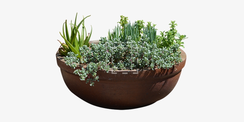 Parent Category - Planters With Transparent Background, transparent png download