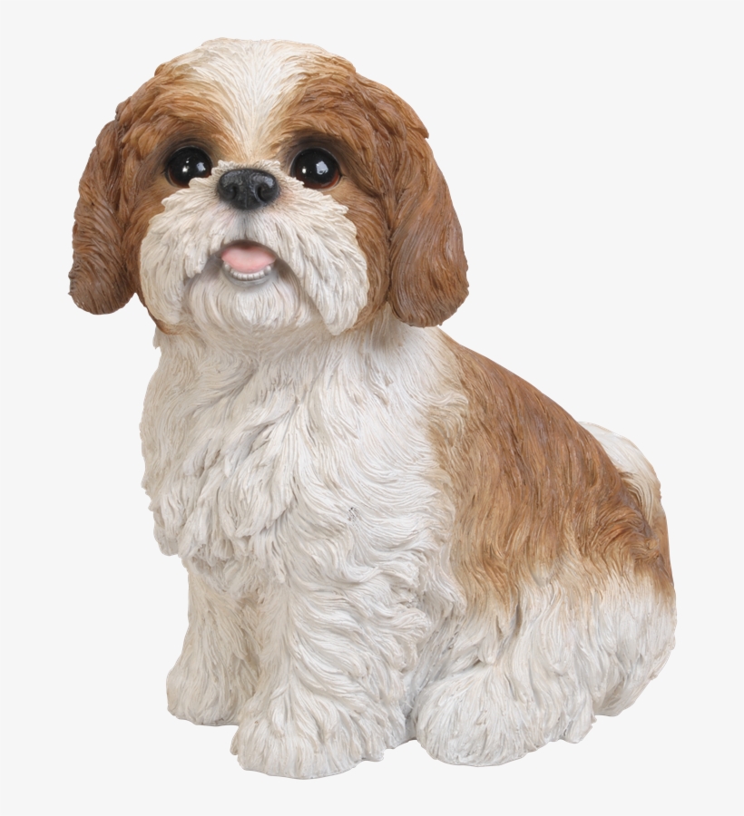Freeuse Library Brown Sitting Resin Garden Ornament - Natures Gallery Sitting Shih-tzu Statue Brown - 83584, transparent png download