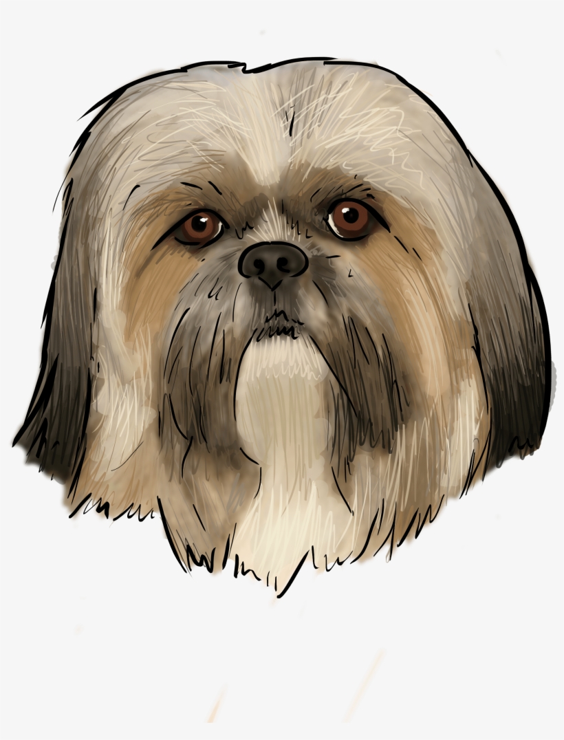 Dog, transparent png download